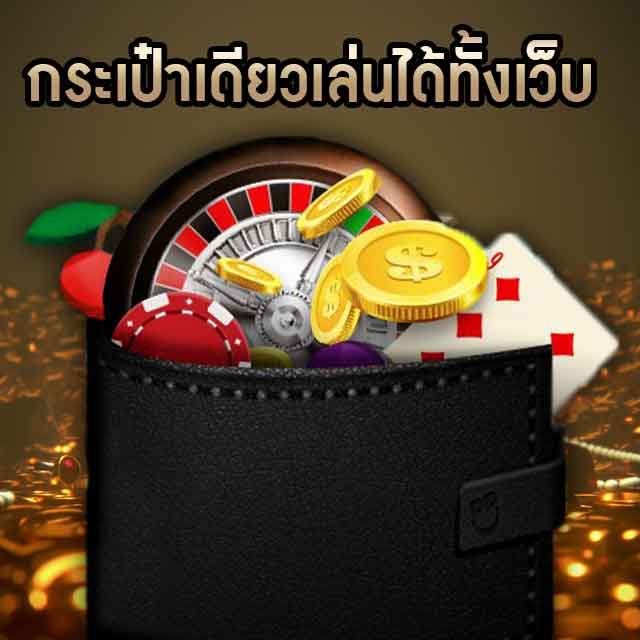 กระเป๋าเดียวเล่นได้ทั้งเว็บ