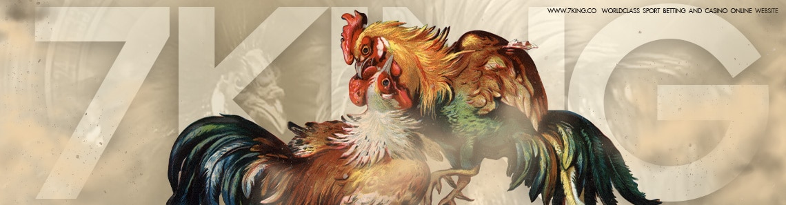 เว็บพนันแทงไก่ชน