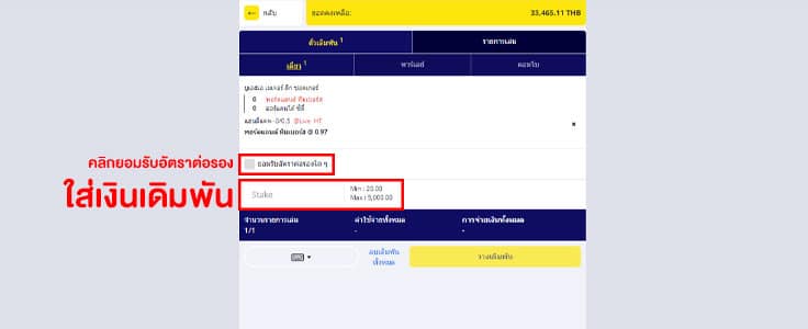 ใส่จำนวนเงิน