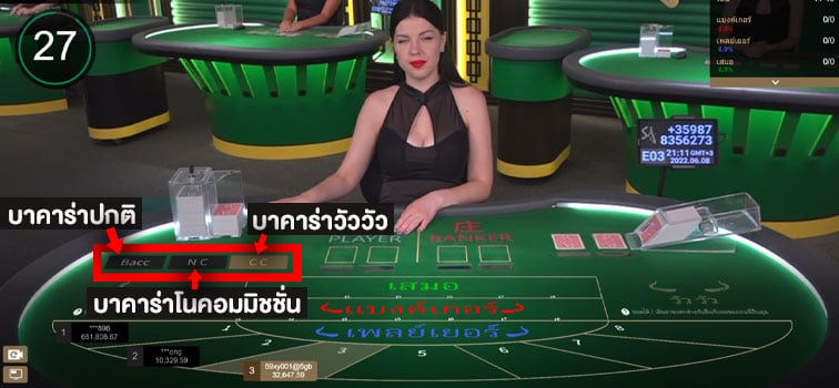 เข้าเล่นวัววัว