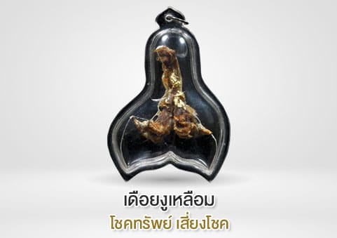 เดือยงูเหลือม