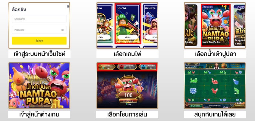 วิธีเข้าเล่นน้ำเต้าปูปลา